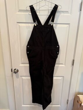 Everlane Black Denim Overalls